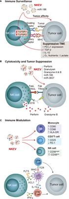 iPSCs in NK Cell Manufacturing and NKEV Development